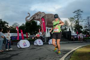 BIB: 
                            <button type="button" onclick="openModal(26529464)" class="btn btn-primary btn-sm float-right btn-popup" data-toggle="modal" data-target=".modal-high-quality">
                        <i class="fas fa-shopping-cart"></i> Add to Cart
                    </button>
                                            <button type="button" onclick="isThisMe(26529464, true)" class="btn btn-success btn-sm float-right btn-popup btn-isme hidden" data-toggle="tooltip" data-placement="bottom" title="นี่คือรูปของคุณใช่ไหม คลิกที่นี่เพื่อเอาเข้าอัลบั้ม">
                        <i class="fas fa-plus"></i> Add to album
                    </button>
                    <button type="button" onclick="isThisMe(26529464, false)" class="btn btn-warning btn-sm float-right btn-popup btn-isnotme hidden">
                        <i class="fas fa-ban"></i> Remove from album
                    </button>